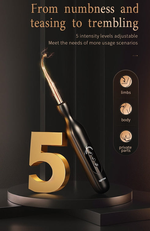 Roomfun Punishment Electric Buzzing Stimulation Wand