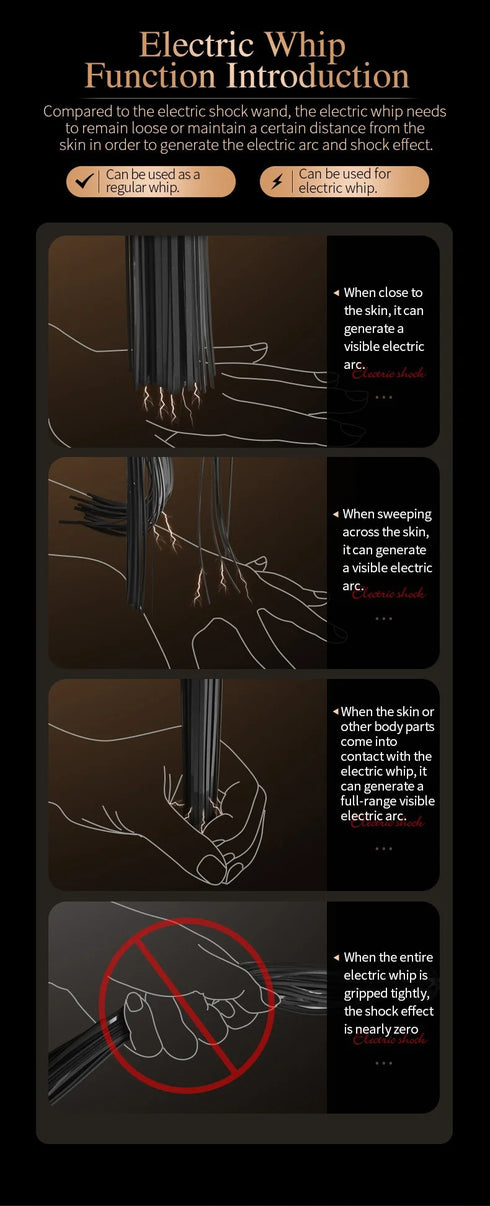 Roomfun Punishment Electric Buzzing Stimulation Whip