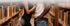 Lush Anal by Lovense