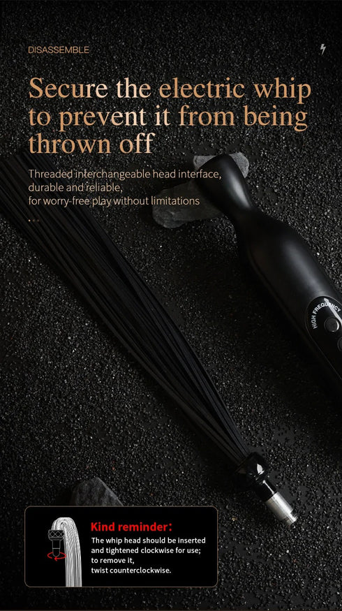 Roomfun Punishment Electric Buzzing Stimulation Whip