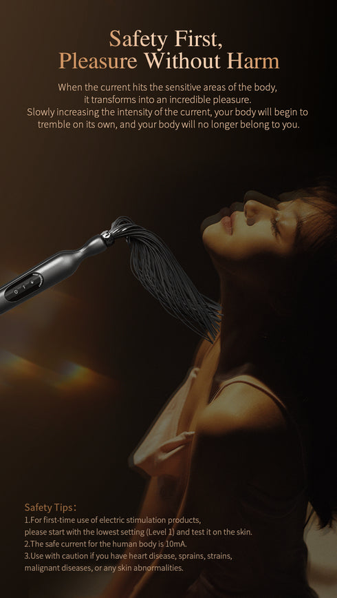 Roomfun Punishment Electric Buzzing Stimulation Whip