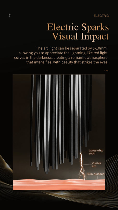 Roomfun Punishment Electric Buzzing Stimulation Whip