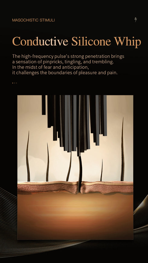 Roomfun Punishment Electric Buzzing Stimulation Whip