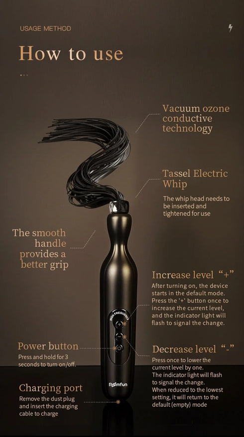 Roomfun Punishment Electric Buzzing Stimulation Whip
