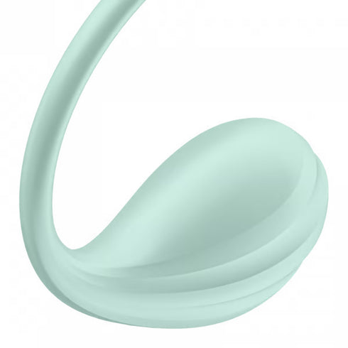 Satisfyer Smooth Petal Connect App Wearable Egg Vibrator
