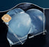 Velora Clear Real Skin Masturbator 3 kg