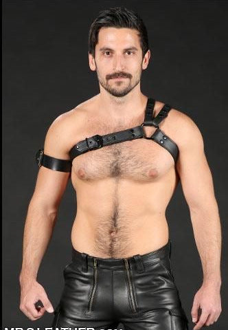 Spartan Shoulder belt