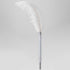 Roomfun Ostrich Feather - White