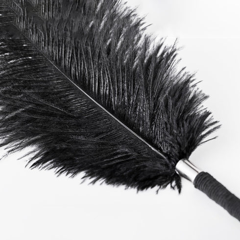 Roomfun Ostrich Feather
