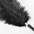 Roomfun Ostrich Feather