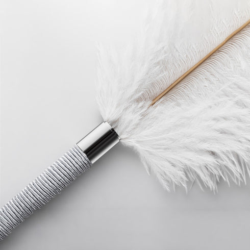 Roomfun Ostrich Feather - White