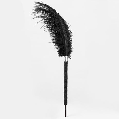 Roomfun Ostrich Feather