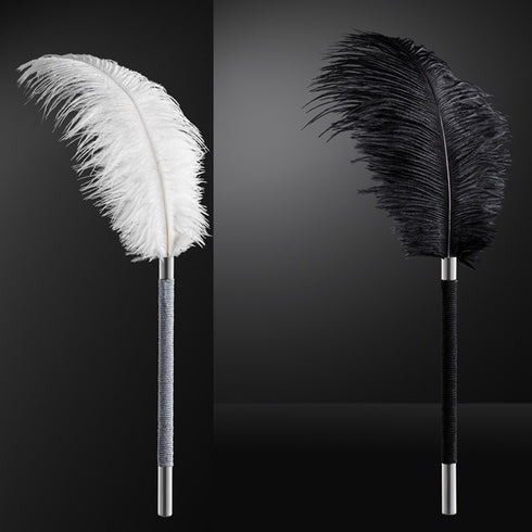 Roomfun Ostrich Feather - White