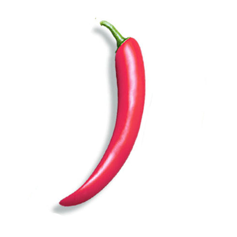 WINSTONE Vegetable Series