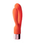 Share Satisfaction Joy Double Delight Vibrator