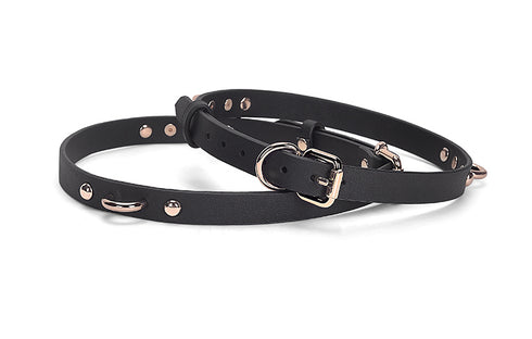 Master Craftsman Full Body Restraining Kit