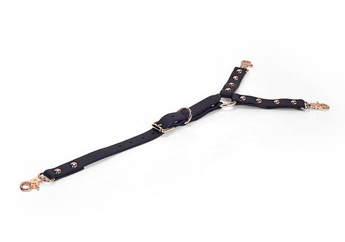 Master Craftsman Full Body Restraining Kit
