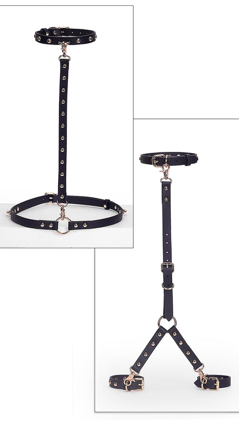 Master Craftsman Full Body Restraining Kit