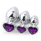 LS Aluminum Alloy Butt Plug Set