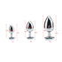 LS Aluminum Alloy Butt Plug Set