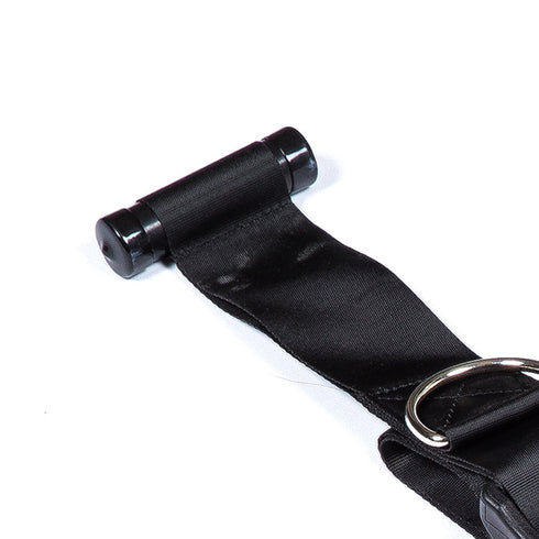 ROOMFUN Over the Door Restraint Set