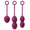 Svakom nova Weighted kegel Exercise Balls