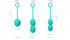 Svakom nova Weighted kegel Exercise Balls