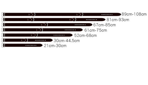Master Craftsman Bedroom Full Body Restrain Kit 7 Pieces