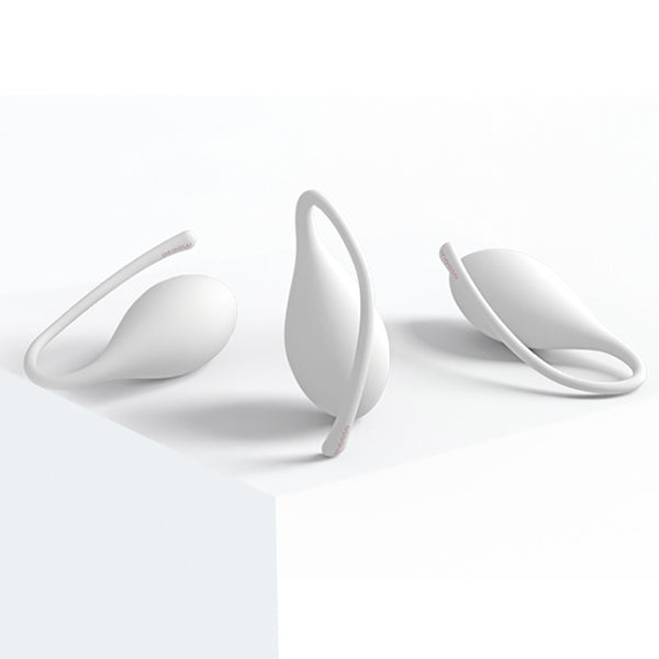 Meese Premium Kegel Training Ben Wa Balls Set